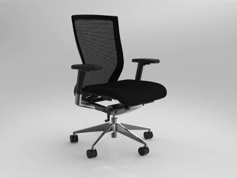 Picture of Balance Executive Chair with arms